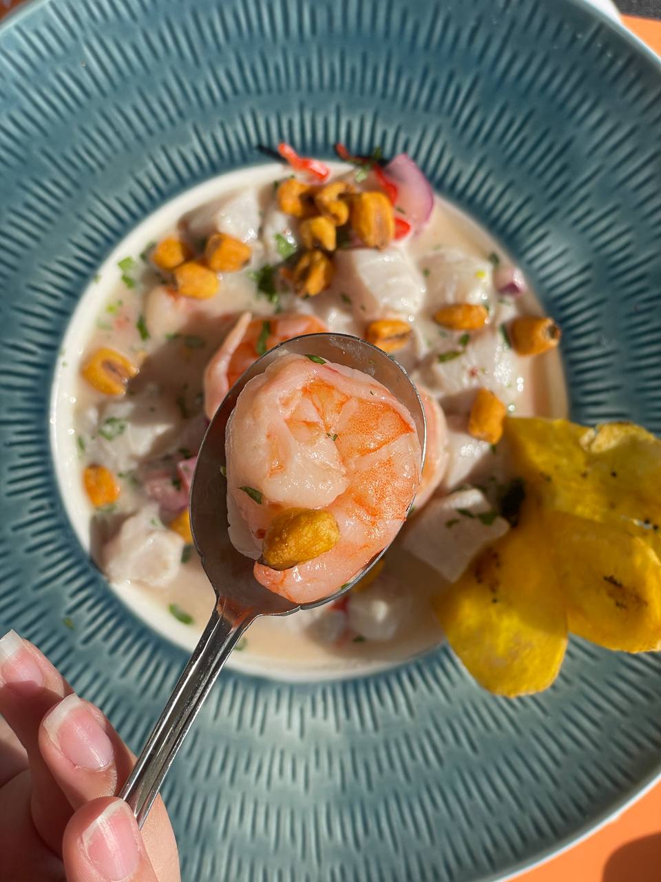 Ceviche de pescado fresco El Valle del Espíritu Santo